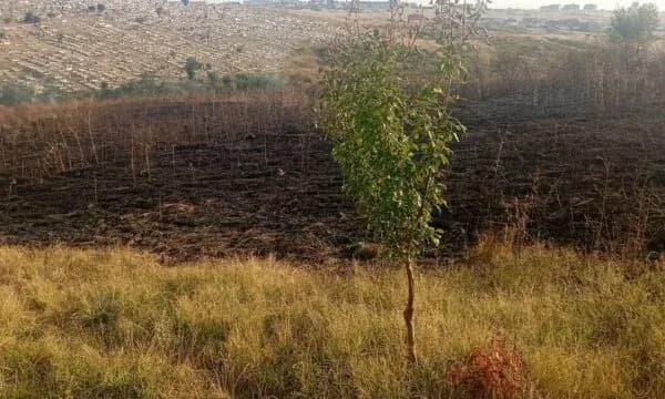 Zjarr i madh në fushat pranë Varrezave të Qytetit, Komuna thotë se disa shtëpi ishin në rrezik – kanë edhe një apel