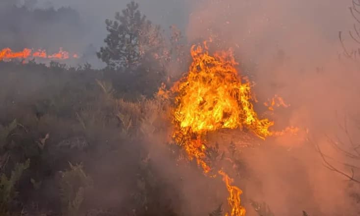 Zjarret në Shqipëri, pesë vatra ende mbesin aktive