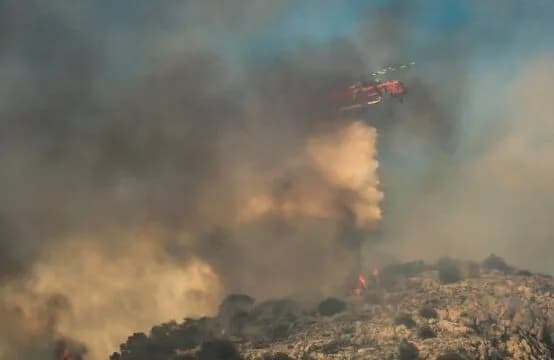 Evropa nën pushtetin e flakëve: Viktima në Greqi e Spanjë, mijëra hektarë të përfshirë nga flakët në Belgjikë
