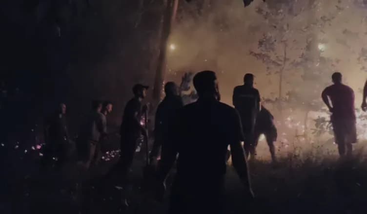 Ditë e vështirë për Shqipërinë në përballje me zjarret, situatë kritike në disa zona