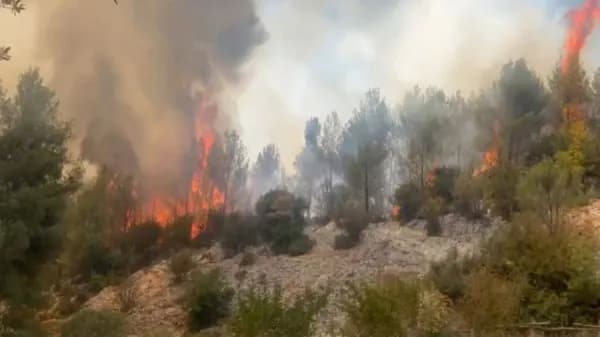 ​Zjarret në Shqipëri: 15 vatra, 7 ende aktive, ndërhyrje me mbi 200 forca dhe mjete nga ajri