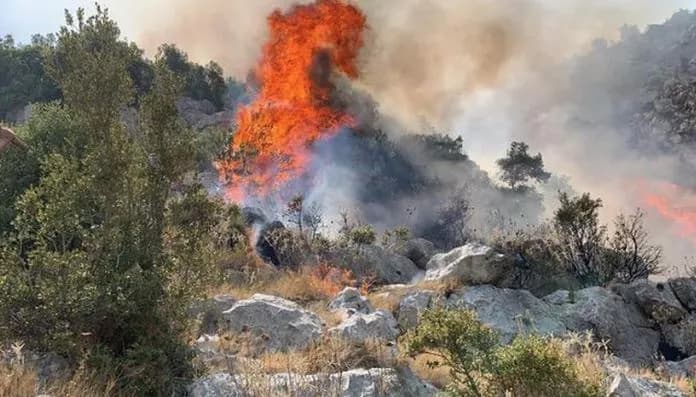 Situata e zjarreve në Shqipëri, Ministria e Mbrojtjes: 9 vatra ende aktive – vijon operacioni për shuarjen e flakëve
