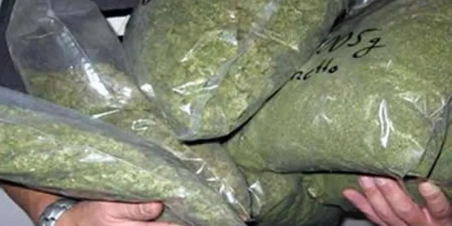 Kapen mbi një kilogram marihuanë në dy vila në Brezovicë, arrestohet 27-vjeçari