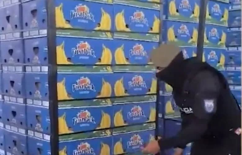 Në hetim rrjeti shqiptar në Spanjë – sekuestrohen 21 tonë kokainë dhe 1 milionë euro cash