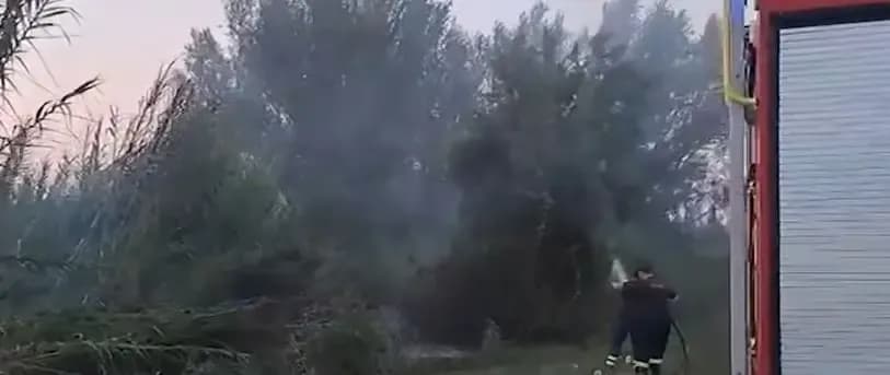 Zjarr në Topojë të Fierit, digjen pemë dhe shkurre
