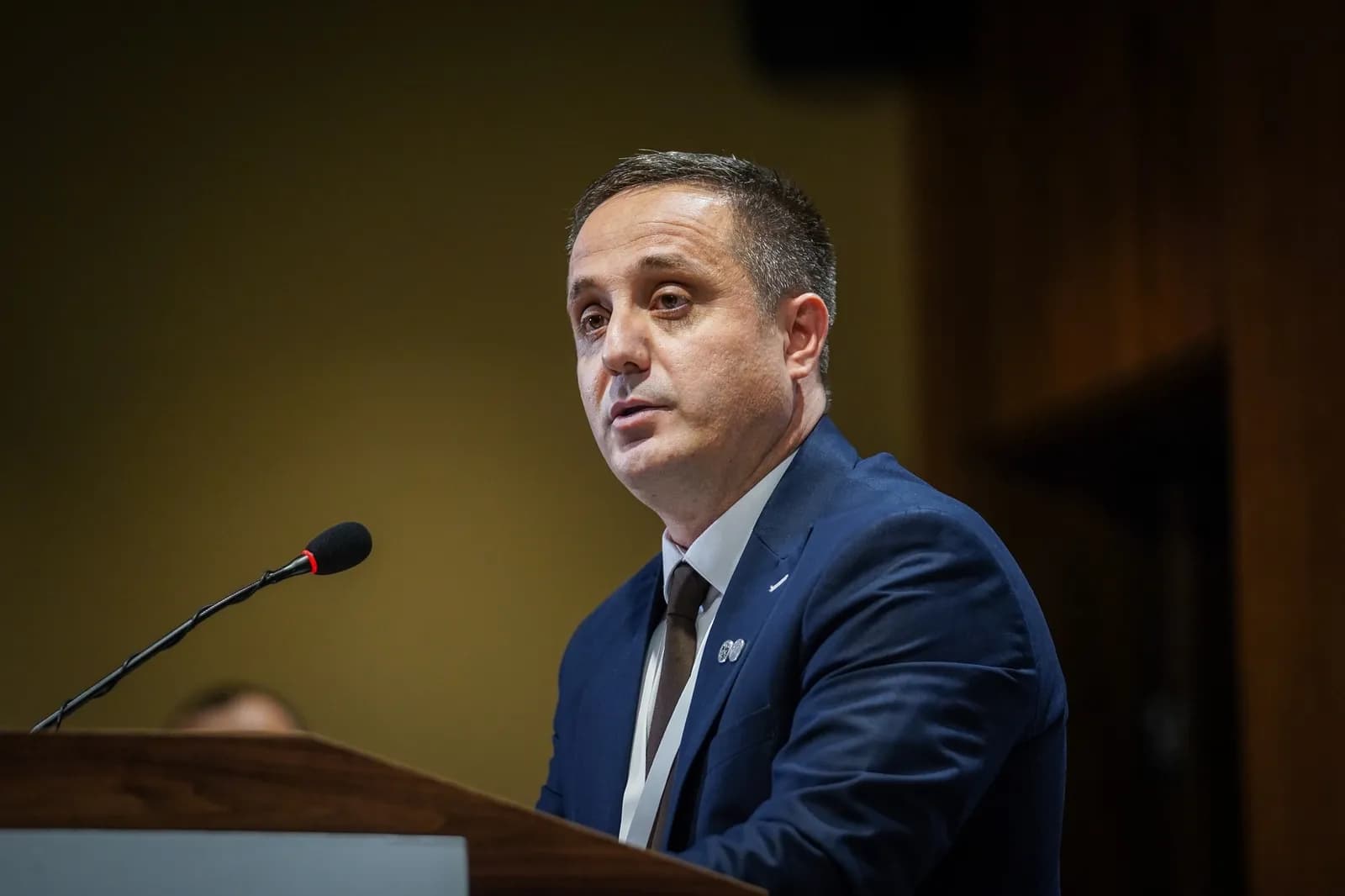 Selmanaj për vendimin e Kushtetueses: Absurditet, hyn në funksion vetëm të ruajtjes së interesave ditore dhe balancave të partive politike