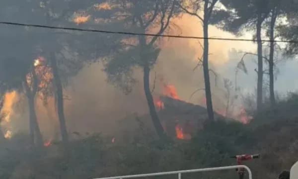 39 vatra zjarri aktive në Shqipëri, situata më problematike në Fier dhe Himarë, mbi 800 forca të angazhuara në terren