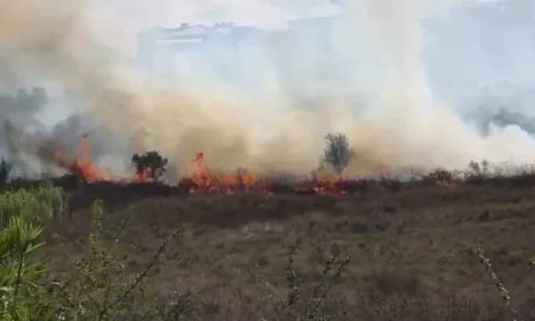 Zjarr në Babicë të Vlorës, flakët rrezikojnë një banesë, ndërhyjnë zjarrfikësit