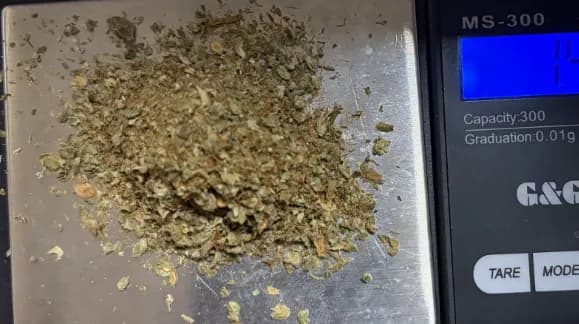 Kapet me marihuanë një person në Vërmicë, iu gjetë në çantën e krahut