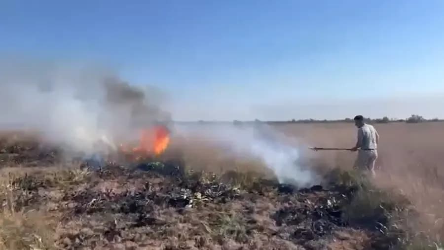 Katër vatra zjarri në pyllin e Semanit, flakët përhapen me shpejtësi