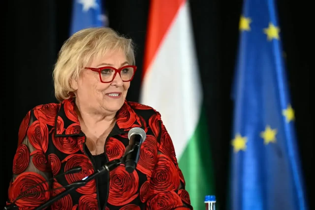 Paçarizi: Presidentja duhet të jetë pjesë aktive e Grupit Punues të Apelit në Hagë