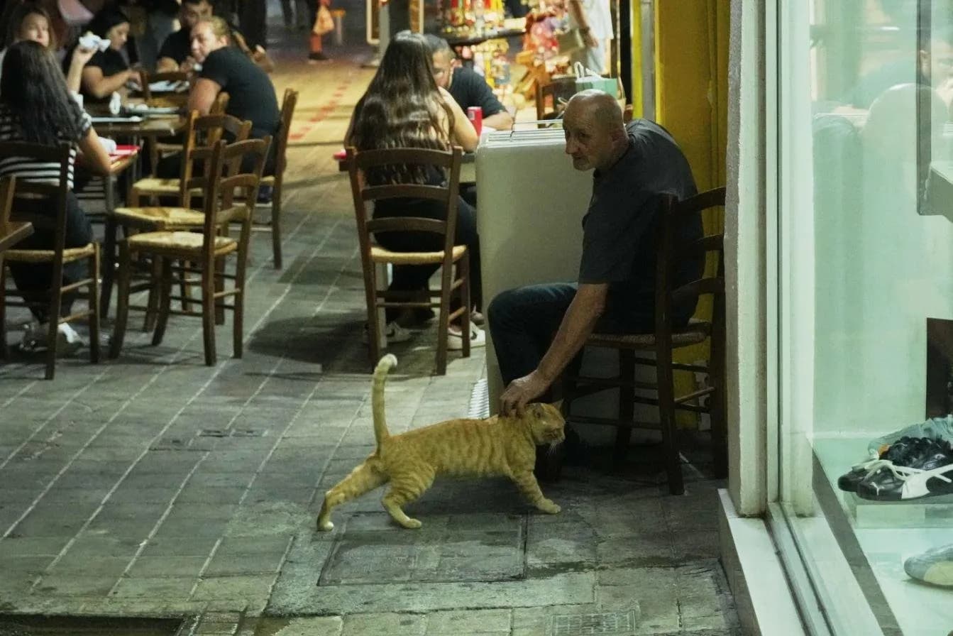 Ky është vendi i njohur ku ka sa njerëz aq mace