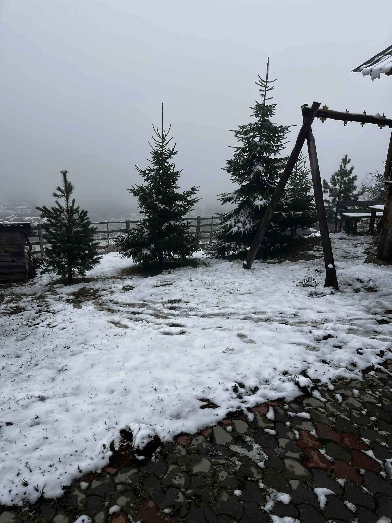 Bora zbukuron bjeshkën e Ishtedimit