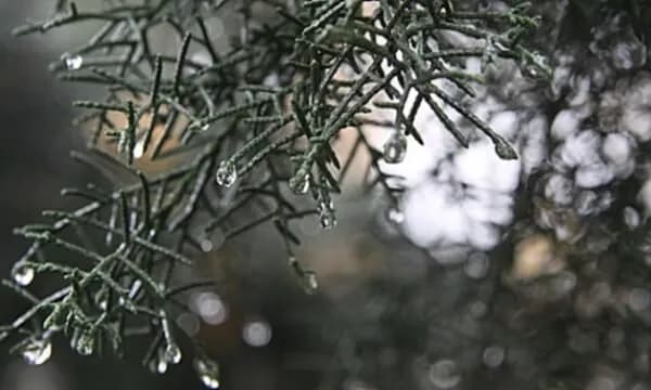 Parashikimi i motit për sot dhe ditët në vijim