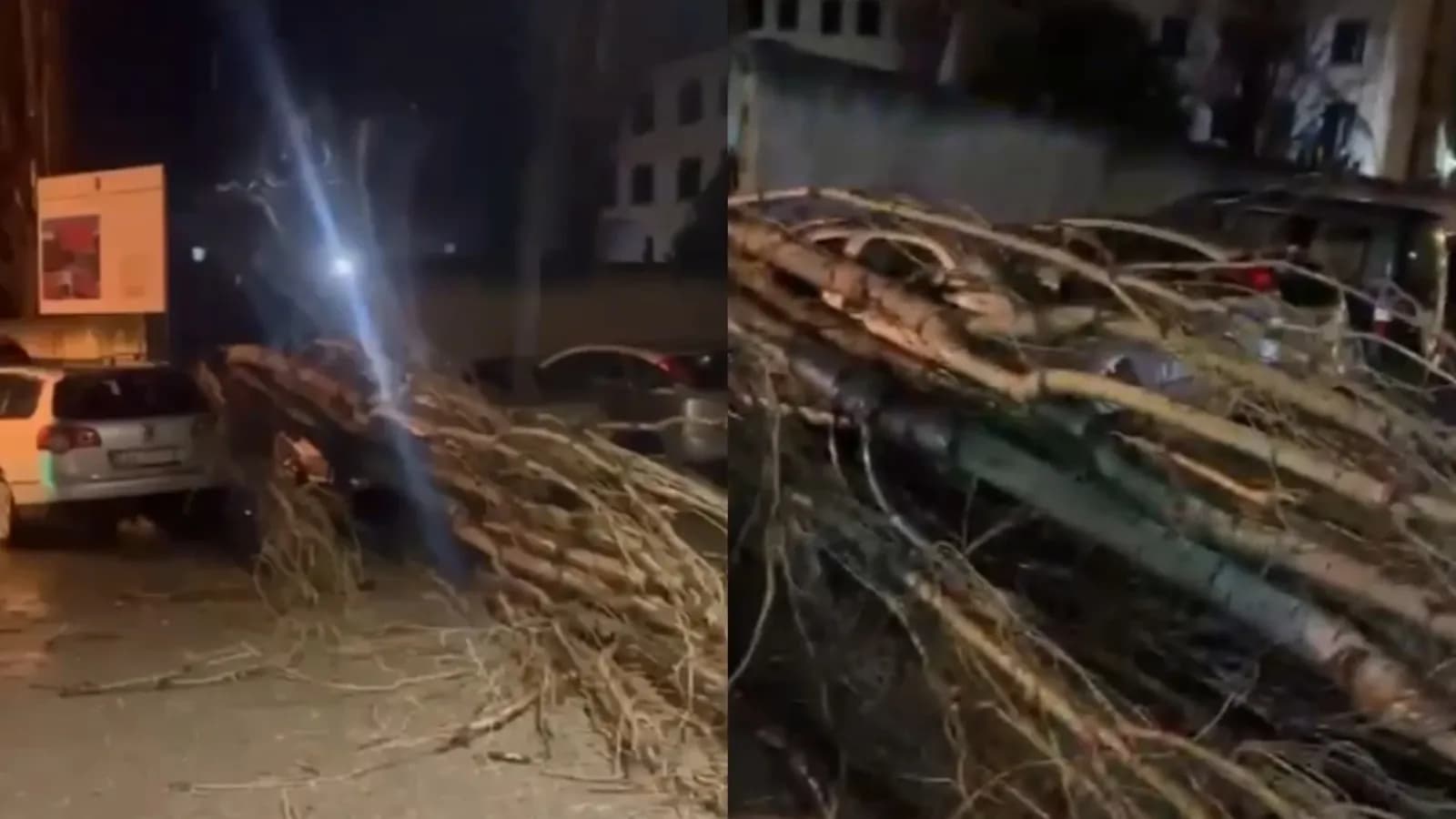 Erëra t ë forta në Vlorë, rrëzohet një pemët