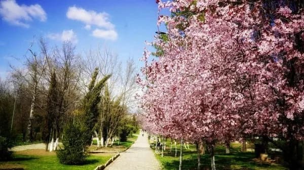 ​Parashikimi i motit për javën e ardhshme