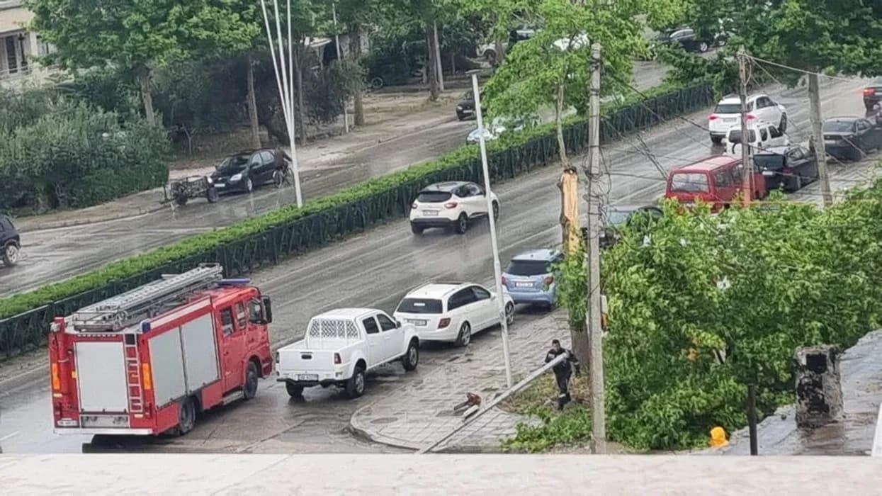 Erëra të forta në Vlorë, rrëzohen disa pemë