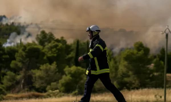 Franca përballet me zjarre
