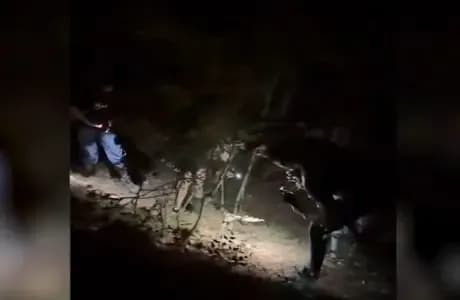 Dy turistë gjermanë humbin rrugën në malin e Dajtit, shpëtohen nga policia shqiptare