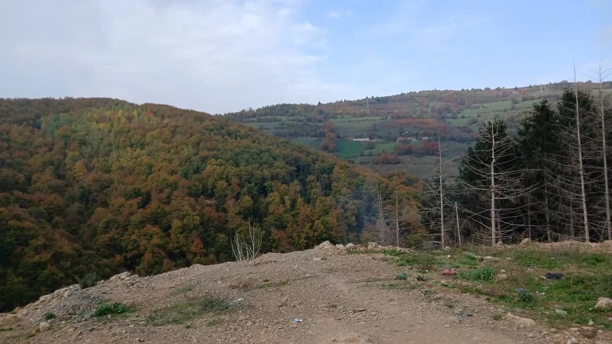 Kryeqyteti njofton për dy linja të reja të autobusëve