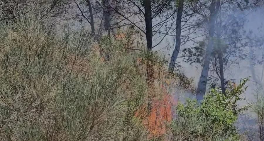 Kurti emëron Kreshnik Haxhiun zv.drejtor të Agjencisë për Mbrojtjen e Informacionit të Klasifikuar