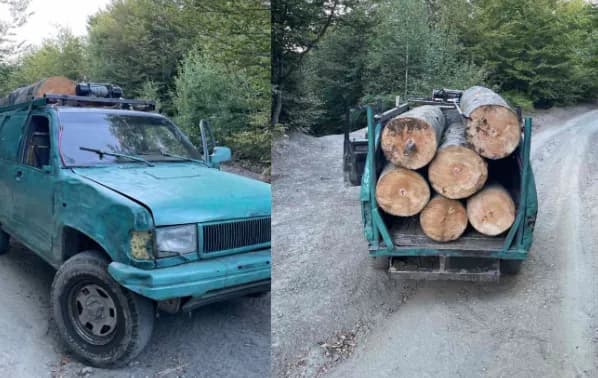 Policia me aksion në Kaçanik e Ferizaj, sekuestron automjete dhe drunj të prerë ilegalisht