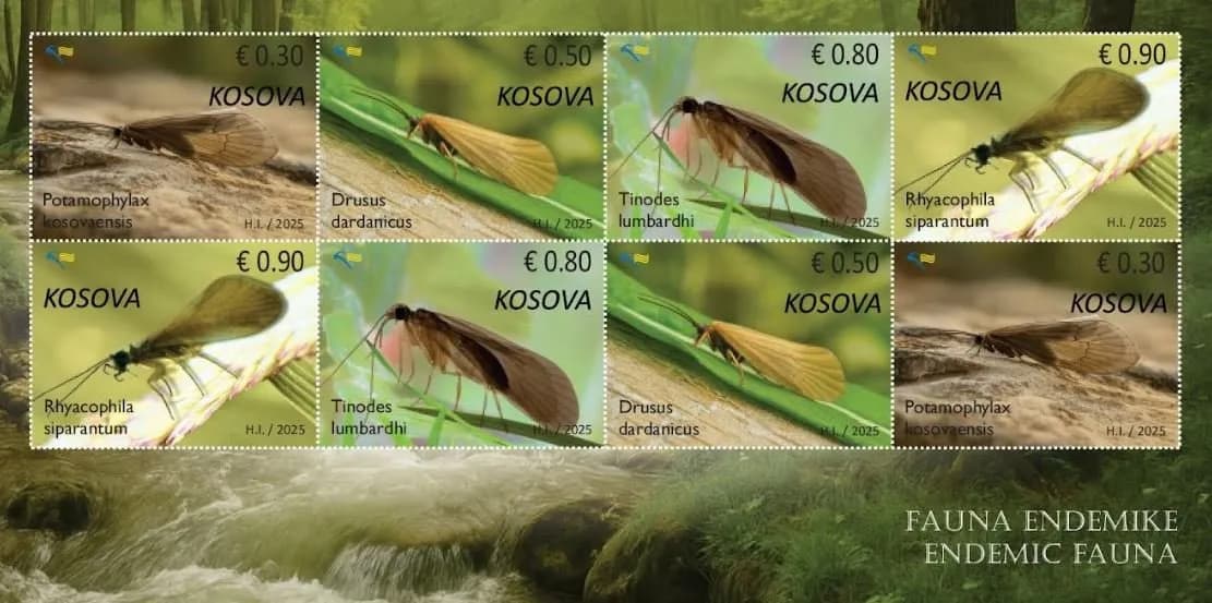 Pullat postare emetohen “Fauna endemike” në Ditën e Lumenjve