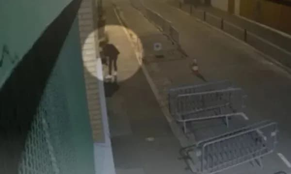 Serbët vendosi koka derrash para xhamive në Paris, pamje kur njëri nga 11 të dyshuarit kapet në video gjatë aktit racist
