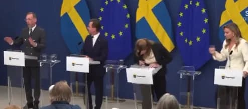 VIDEO/ Ministrja e Shëndetësisë në Suedi humb ndjenjat, rrëzohet gjatë konferencës live