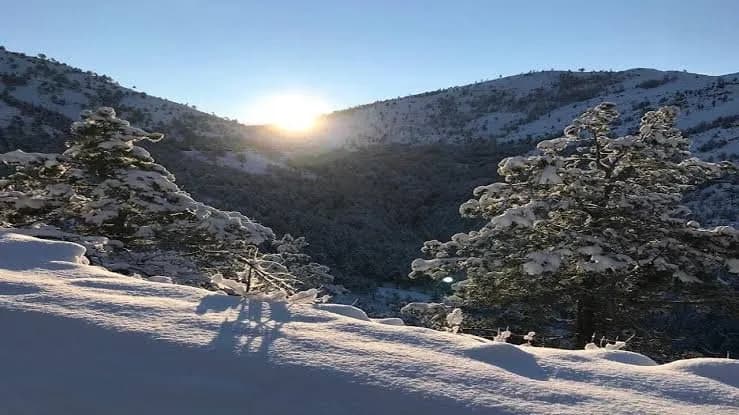 Ja kur pritet të ndryshojë moti, temperaturat do të shkojnë deri 20 gradë Celsius