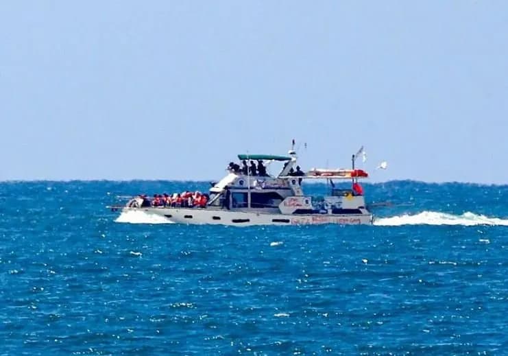 Katër aktivistë të flotës së Gazës deportohen nga Izraeli