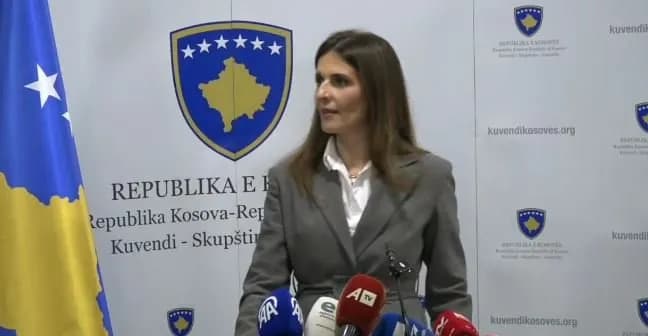 ‘PDK ka qenë jashtëzakonisht konstruktive’, Çitaku: Ne s’kemi vullnet për ta shkelur Kushtetutën