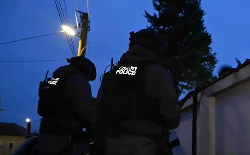 Shkatërrohet rrjeti kriminal i trafikut të objekteve historike, Europol arreston 35 persona