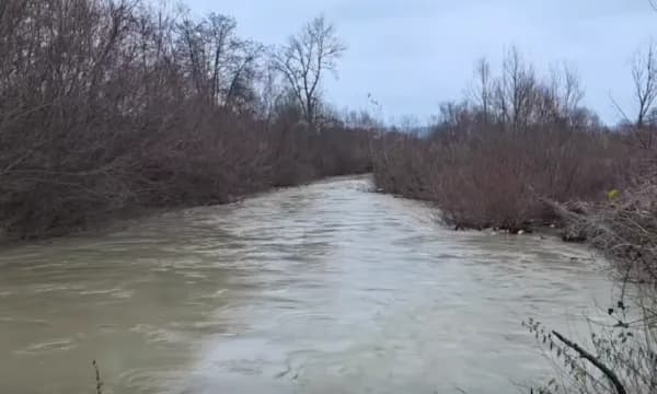 E rëndë: Raportohet se gruaja që u gjet e vdekur sot ishte shtatzënë