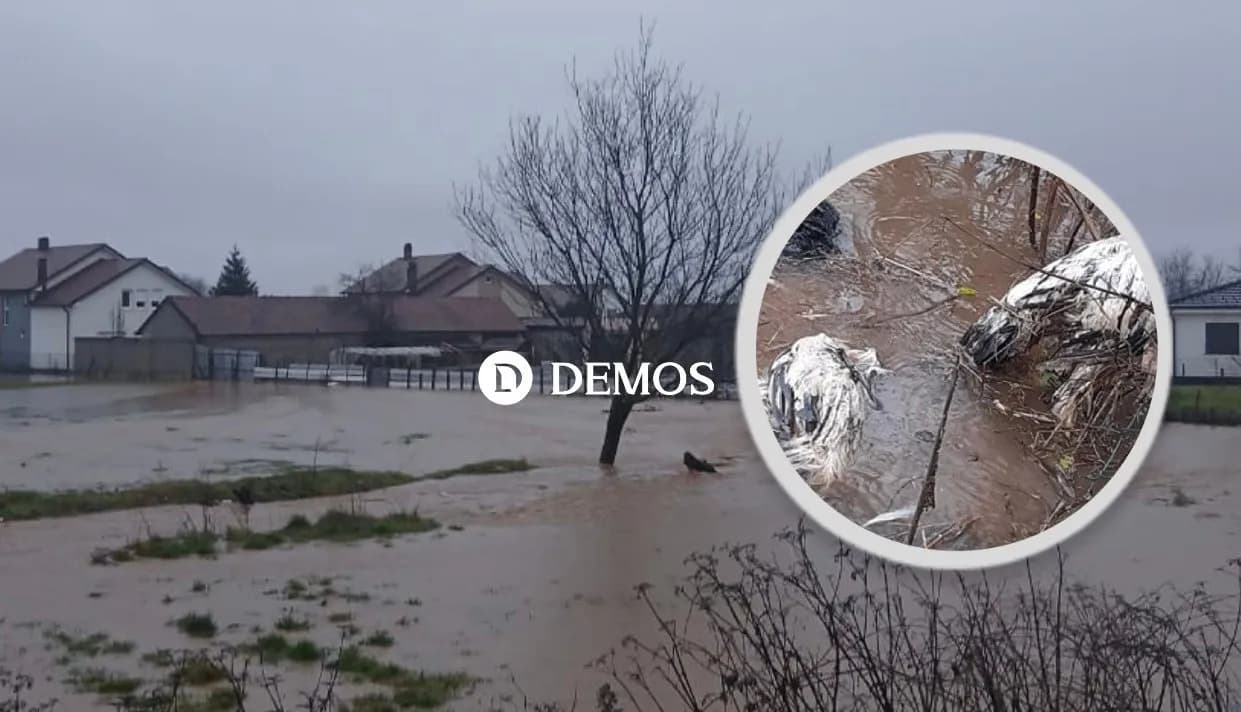 Pamje të rënda nga Prejlepi i Deçanit, fermerit i ngordhin pulat si pasojë e reshjeve të shiut
