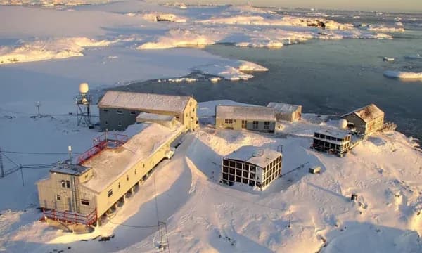 Nga Antarktida në vijën e frontit: “Pinguinët ushtarakë” të Ukrainës
