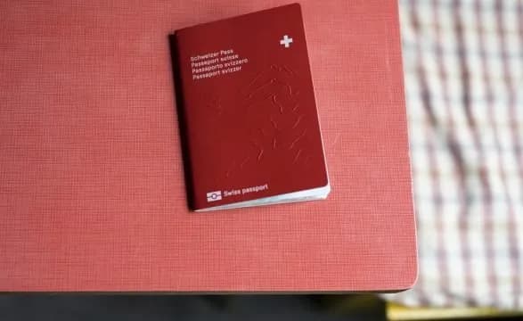 Sa të huajve u refuzohet shtetësia zvicerane në Gjenevë dhe pse?