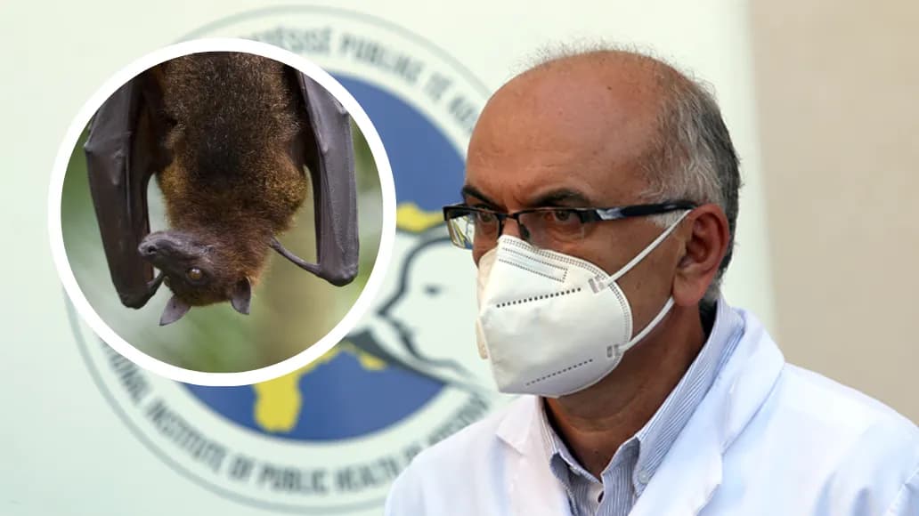 Virusi i lakuriqëve të frutave “Nipah” alarmon botën, Naser Ramadani tregon a rrezikohet Kosova