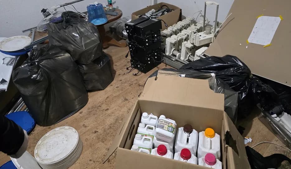Arrestohen dy të dyshuar për kultivim të bimëve narkotike dhe mbajtje në pronësi të armëve