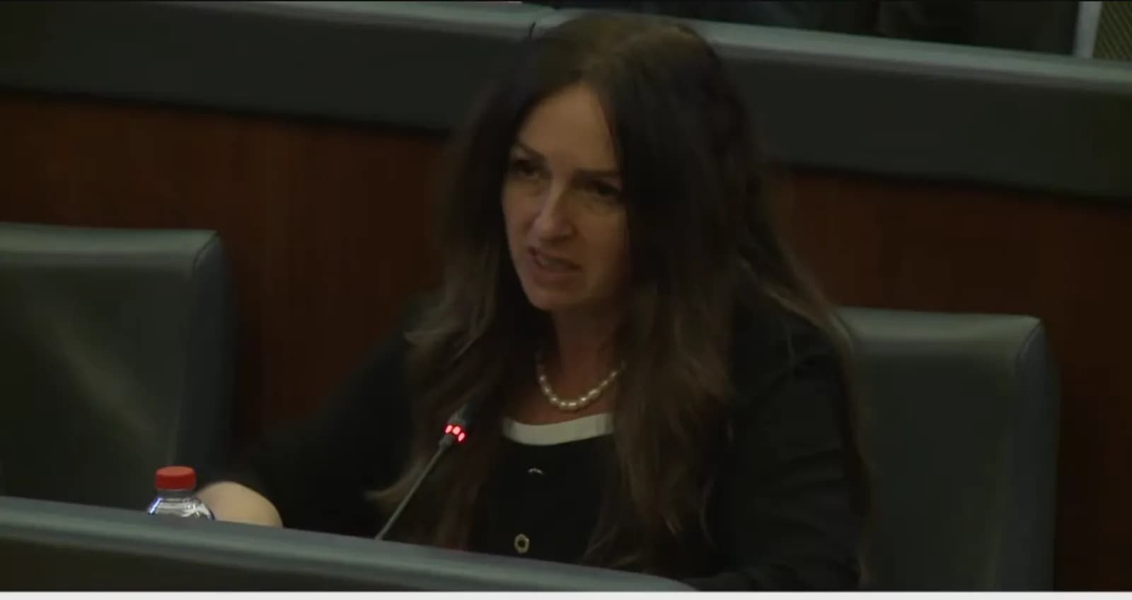 Çështja e presidentit, ja se çka tha shefja e GP të VV-së