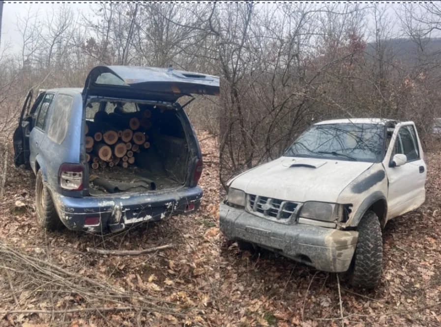 Policia parandalon vjedhjen e pyllit në Siqevë të Prishtinës