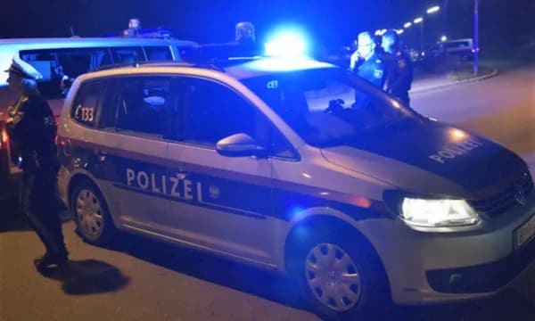 Vjenë: Një kosovar rrahet brutalisht me vëllezërit e të dashures së tij, përfundojnë në spital