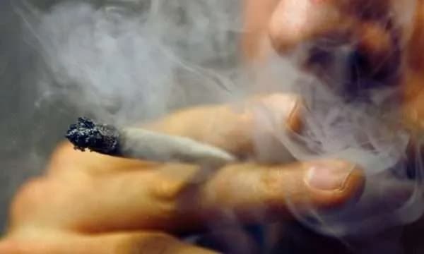 Blakaj: Nuk jemi të gatshëm si shtet për legalizimin e marihuanës