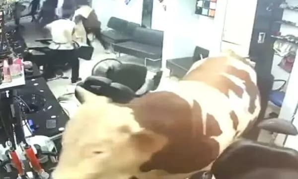 Demi i tërbuar futet në sallonin e flokëve, e tmerron stafin – shkaktohet panik në Stamboll