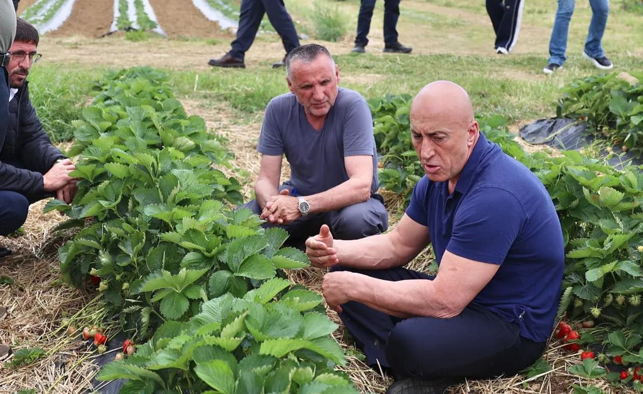 Haradinaj: Në qeverisjen e Gjinit, fermerët do të jenë në qendër të vëmendjes dhe mbështetjes institucionale