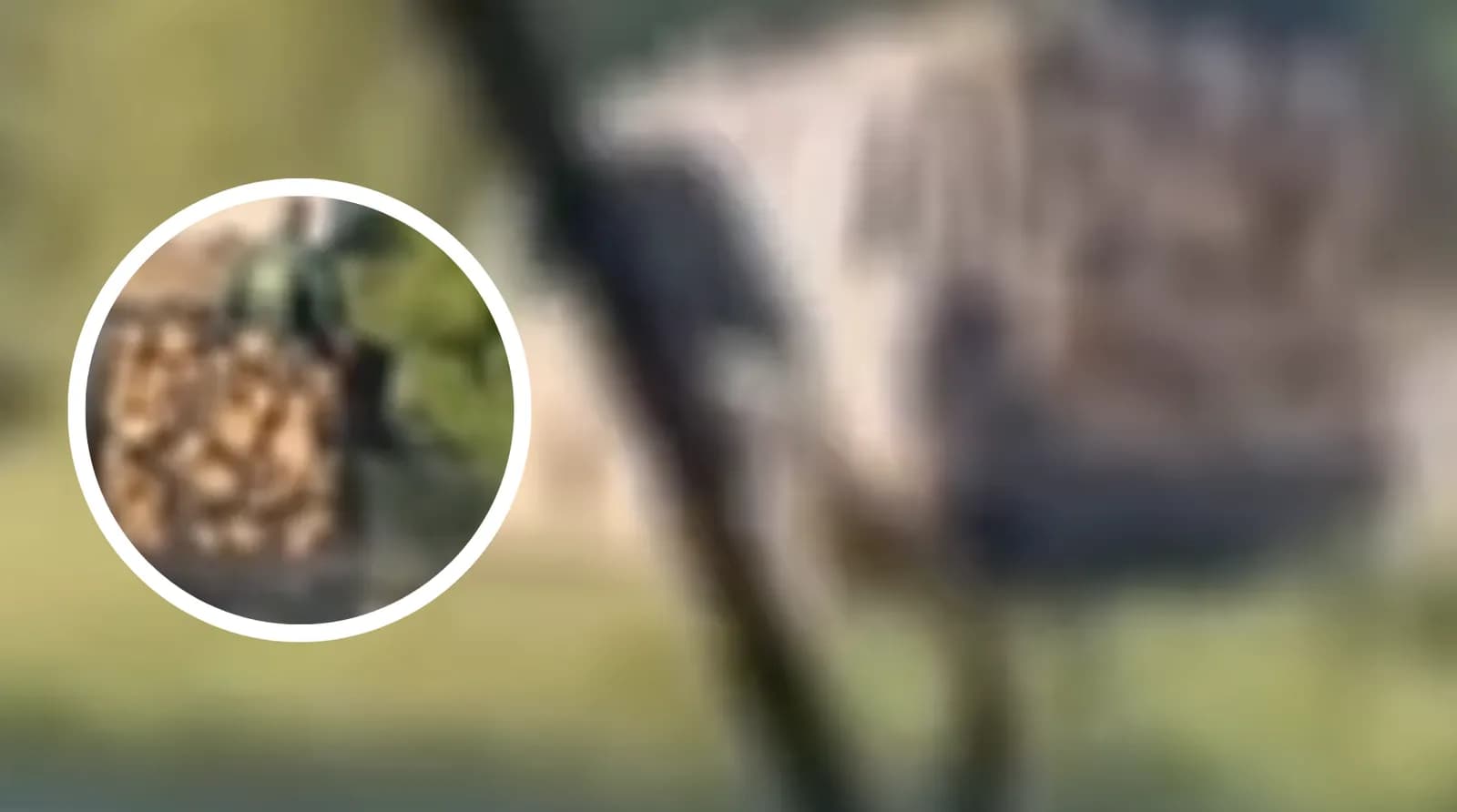 “Me motorsharrë në dorë”, dy persona pengojnë policët në Parkun Nacional ‘Sharri’