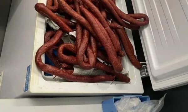 Shtutgart: Në autobusin nga Kosova doganierët gjejnë 250 kilogramë mish dhe një qenush