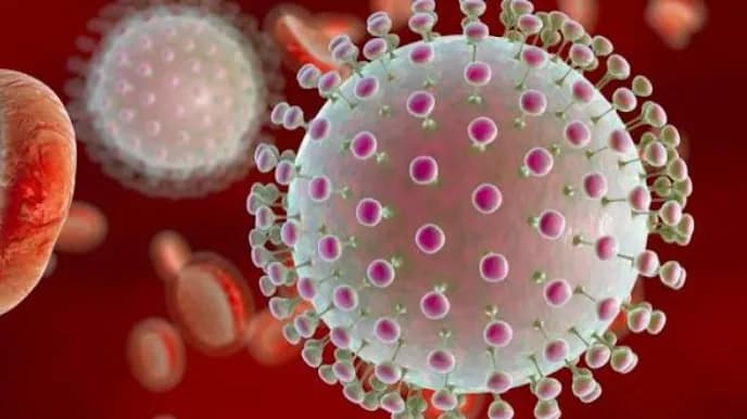 Regjistrohet rasti i parë me virusin Zika në Maqedoni, pacienti u infektua sa ishte për pushime në Maldive