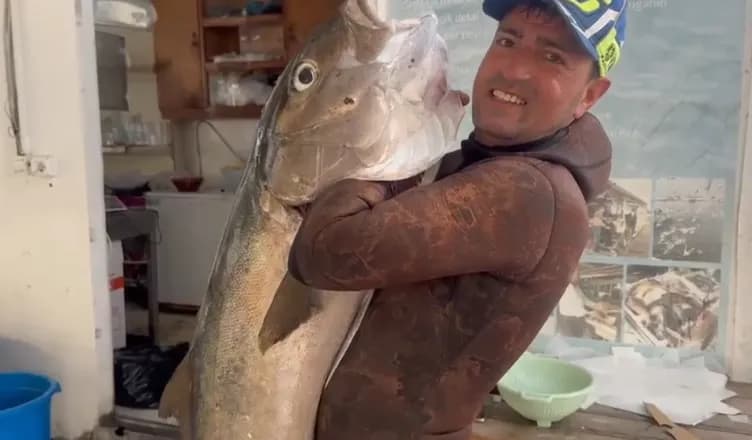 Kapet peshku gof 27 kilogramë në ujërat e Vlorës, peshkatarit iu deshën 30 minuta për ta nxjerrë